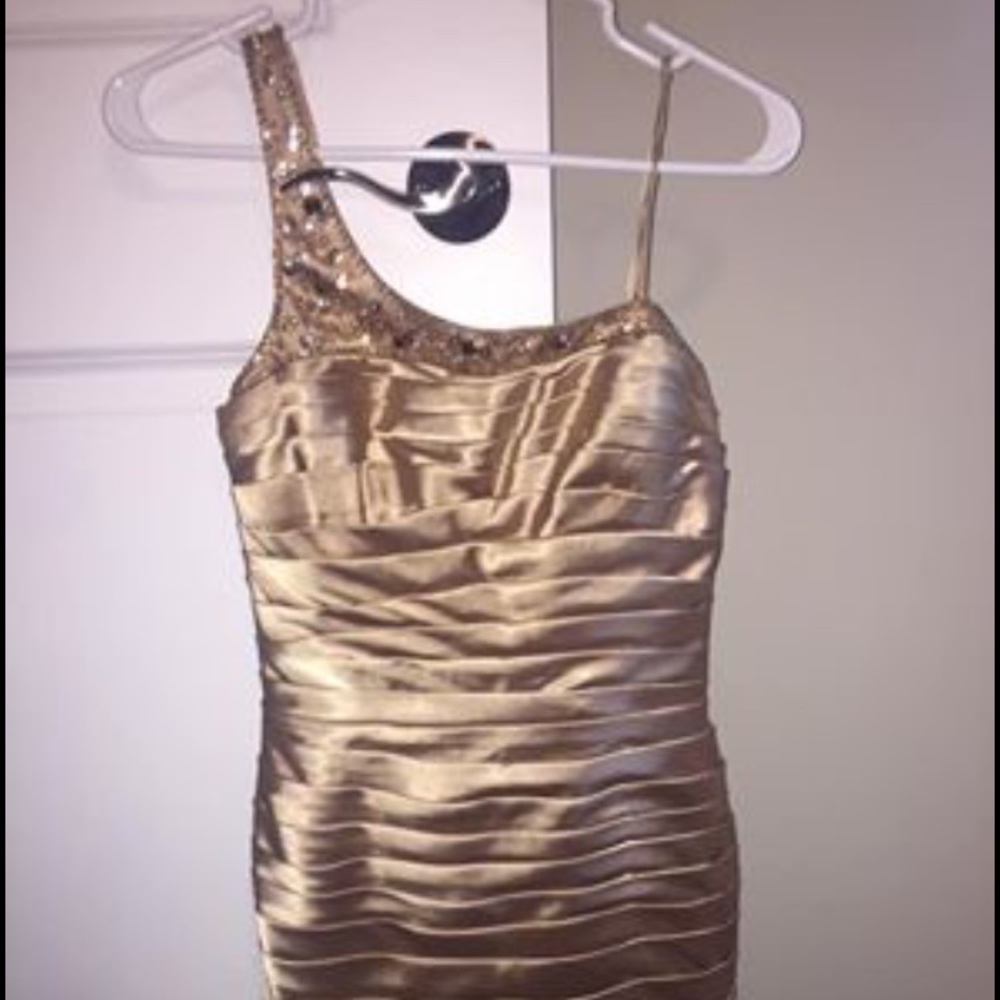 Adrianna Pappel Gown